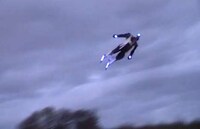 Sky-High Heroes Image 5
