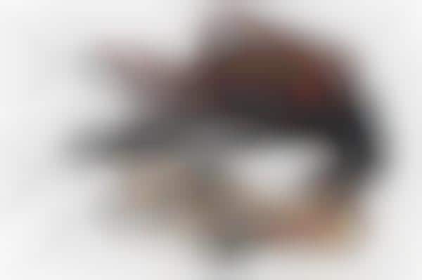 Leather Camera Harnesses