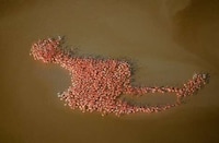 Aerial Nature Photography Image 3