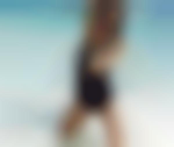 Sea Star Pictorials