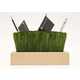 Grassy Desktop Organizers Image 2