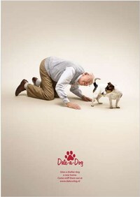 Canine Custom Campaigns Image 2