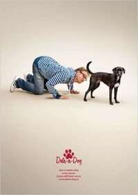 Canine Custom Campaigns Image 3