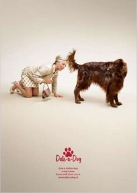 Canine Custom Campaigns Image 4