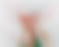 Face-Concealing Paintings Image 1