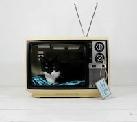Electronic Pet Cradles Image 2