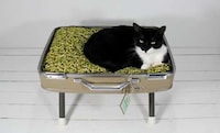 Electronic Pet Cradles Image 6