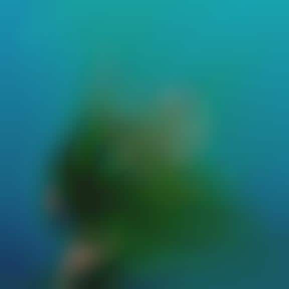 Liquid Lady Paintings