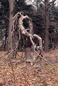 Disturbingly Surreal Sculptures Image 6