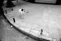 Deadly Crime Scene Photography Image 2