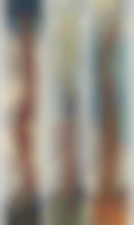 Vertical Panoramic Camera-Phones