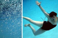 Water-Defying Devices Image 4