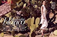 Prickly Fashion Pictorials Image 2