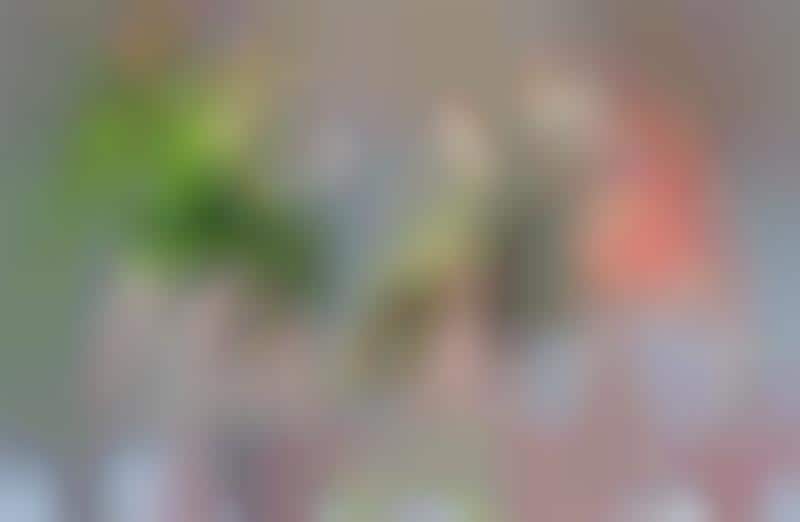 Colorful Coordinated Summer Shoots