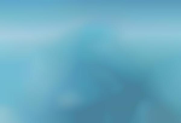 Frozen Asset Advertising