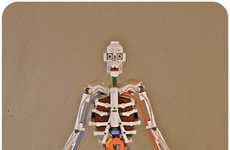 Toy Brick Anatomy Models
