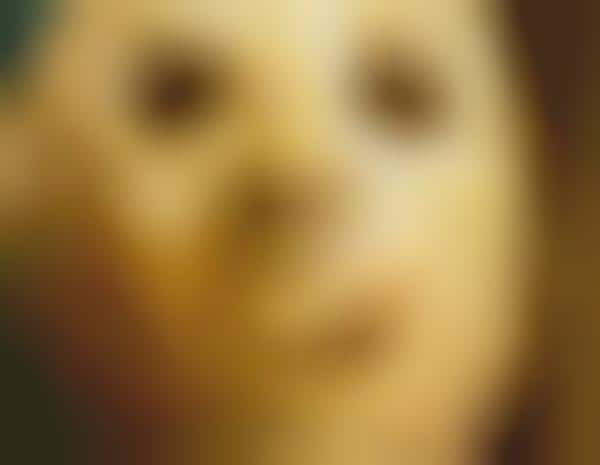 Macabre Poultry Disguises
