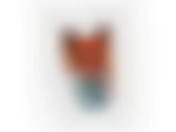 Pixelated Animal Art