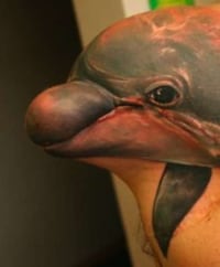 Aquatic Amputee Tatts Image 2