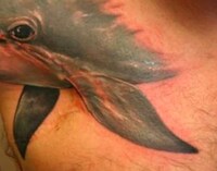 Aquatic Amputee Tatts Image 3