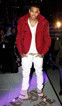 Clothing-Challenged Celebrity Blogs Image 4