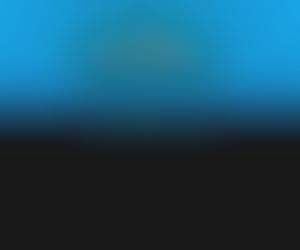 Online Coupon Trading