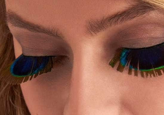 Avian Eyelashes