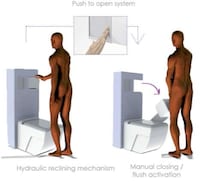Urinal-Toilet Hybrids Image 4