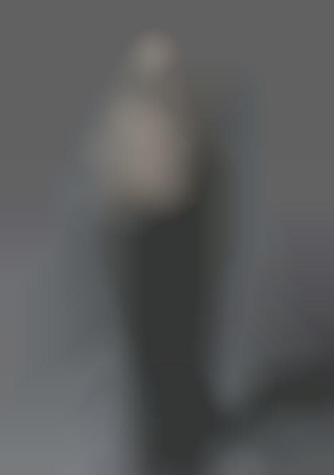 Subdued Feminized Menswear
