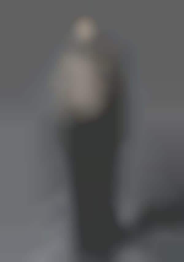 Subdued Feminized Menswear