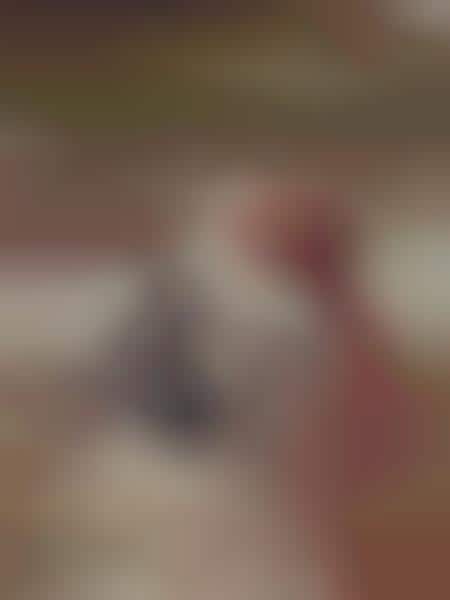 Vintage Magazine Photoscapes