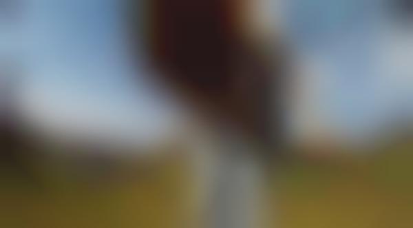 Dizzying POV Photography