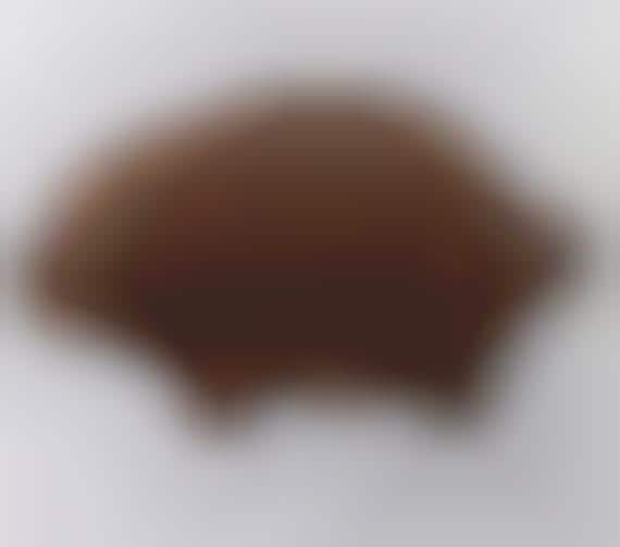 Animalized Secondary Surfaces