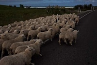 Epic Tourist Photography Image 6