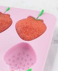 Succulent Summer Sweets Image 4
