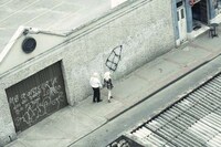 Platinum-Locked Couples Image 2