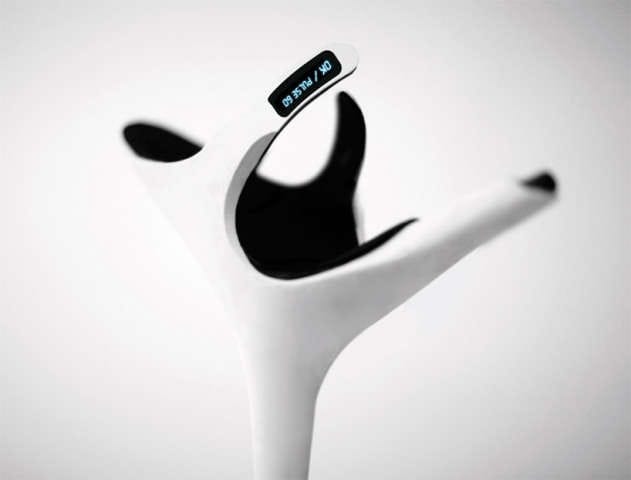 Hi-Tech Walking Sticks