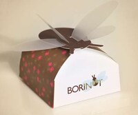 Endearing Dragonfly Branding Image 2