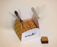 Endearing Dragonfly Branding Image 3