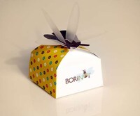Endearing Dragonfly Branding Image 4