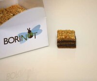 Endearing Dragonfly Branding Image 6