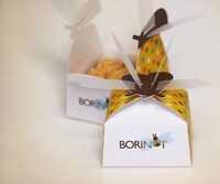 Endearing Dragonfly Branding Image 7