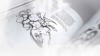 Monochromatic Graffiti Compilations Image 7