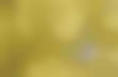 Yellow Life Campaigns