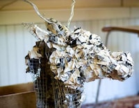 Newspaper Taxidermy Image 4