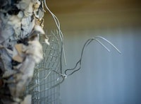 Newspaper Taxidermy Image 6