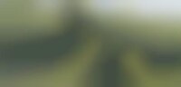 Grassy Snakelike Structures Image 1