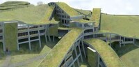 Grassy Snakelike Structures