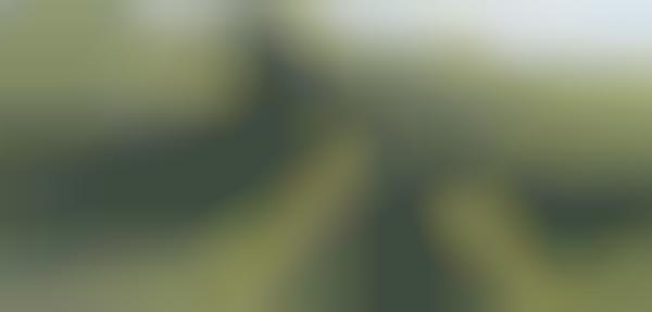 Grassy Snakelike Structures