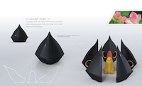 Blossoming Sound Systems Image 3